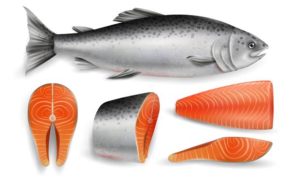 ماهی قرمز کامل سالمون استیک خام و فیله تصویر وکتور جدا شده در پس‌زمینه سفید محصول غذاهای دریایی واقعی مواد تشکیل دهنده سوشی تغذیه سالم