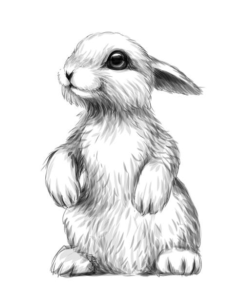خرگوش طرح تصویر هنری گرافیکی از خرگوش در پس زمینه سفید برچسب دیواری
