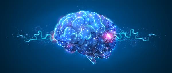 مغز انسان آناتومی اندام نورولوژی مفهوم بدن سالم تصویر چند ضلعی در پس زمینه نئون آبی تصویر وکتور سه بعدی دیجیتالی با پلی پایین هنر انتزاعی