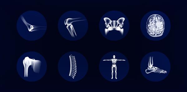 مجموعه تصاویر مفاصل و استخوان های انسان آیکون های ارتوپدی آرنج زانو لگن شانه ستون فقرات مچ پا MRI مغز و اسکلت انسان به سبک اشعه ایکس آیکون های ارتوپدی مجموعه آناتومی استخوان بردار