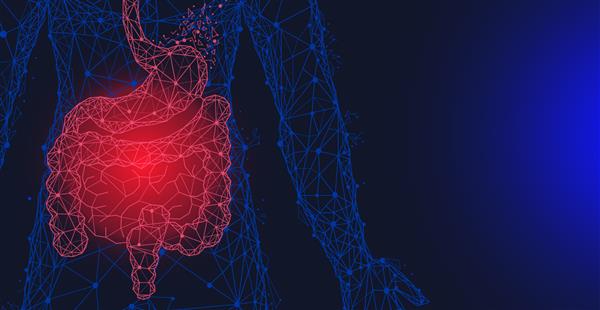معده و روده چند ضلعی تحقیقات پزشکی اندام های داخلی مفهوم رویکرد نوآورانه تصویر سیستم گوارش انسان تصویر مدرن از اندام ها برای هضم و جذب غذا