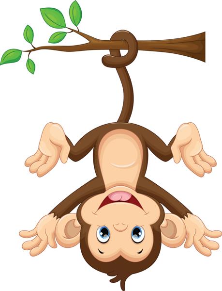 بچه میمون زیبا که روی درخت آویزان شده است