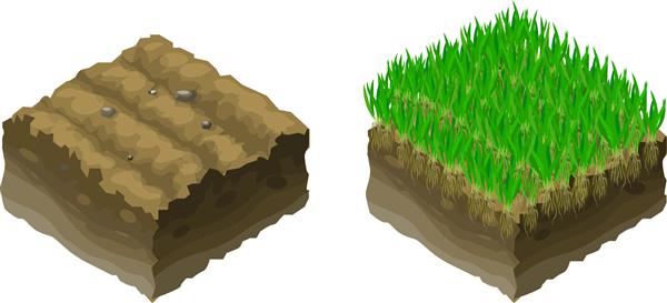 زمین یا خاک در نمای مقطعی ایزومتریک - رشد چمنزار را نشان می دهد تصویر وکتور اصلاح خاک چیدمان چمن ها
