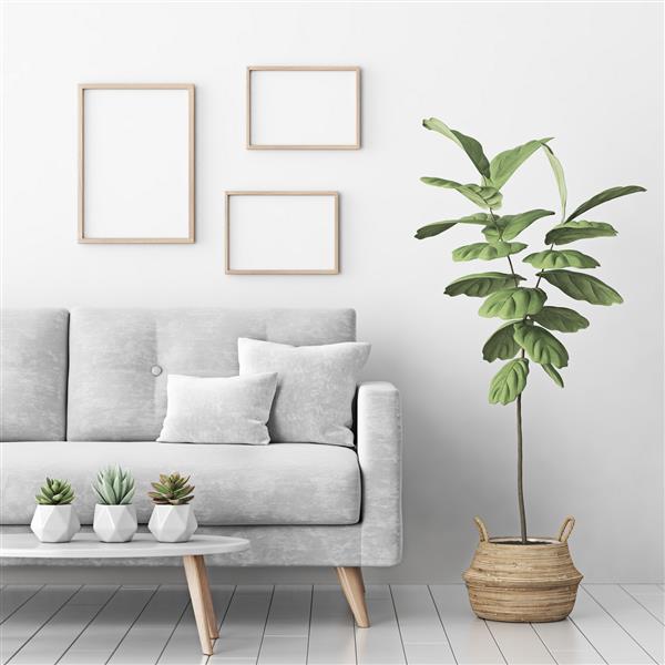 ماکت پوستر داخلی با سه قاب چوبی خالی مبل خاکستری درخت در سبد و ساکولنت در اتاق نشیمن با دیوار سفید رندر سه بعدی