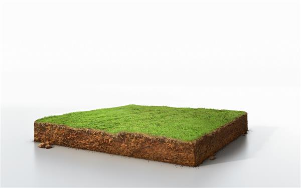 زمین چمن مکعبی سه بعدی با مقطع زمین شناسی خاک اکولوژی زمینی تصویر سه بعدی جدا شده روی سفید