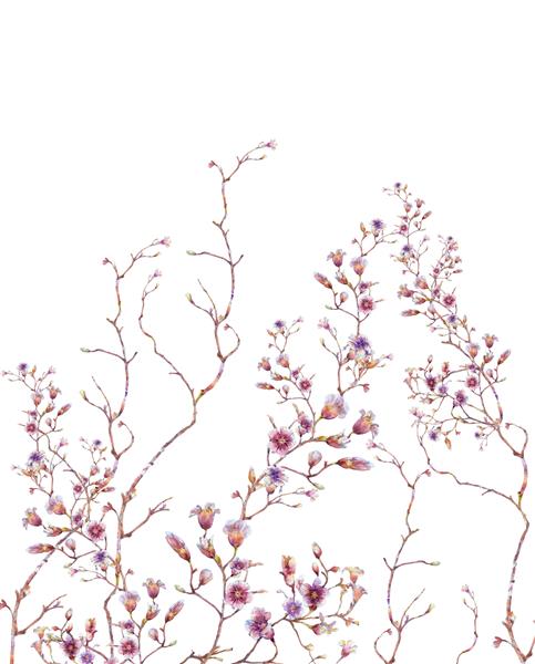 نقاشی آبرنگ برگ و گل در زمینه سفید