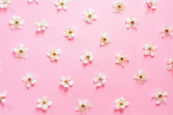 بافت گل در پس زمینه صورتی پس زمینه گل های تازه کاغذ دیواری طرح گل کارت پستال