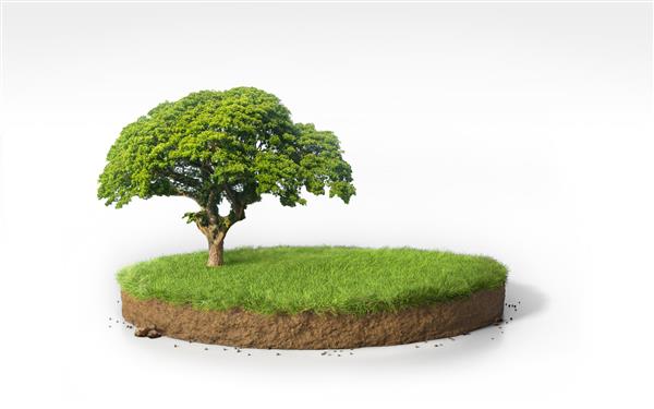 رندر سه بعدی دایره ای واقع گرایانه زمین چمن بریده شده با درخت تصویر سه بعدی سطح مقطع سکوی خاک گرد با باغ سبز جدا شده در پس زمینه سفید