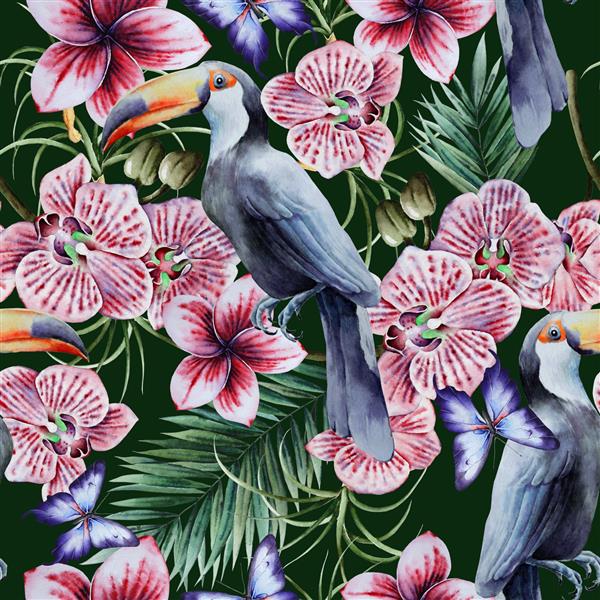 الگوی بدون درز استوایی با برگ و گل پرندگان توکان ارکیده تصویرسازی آبرنگ دست کشیده