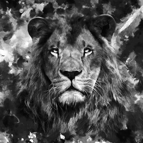 نقاشی رنگ روغن مدرن سیاه و سفید شاه شیر مجموعه هنرمند نقاشی حیوانات برای دکوراسیون و دکوراسیون داخلی هنر بوم انتزاعی