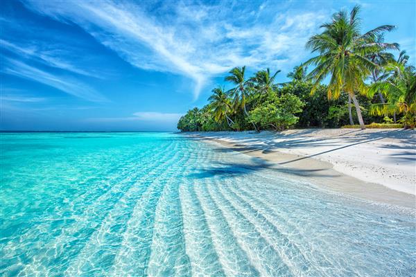 ساحل گرمسیری اقیانوس جزایر مالدیو