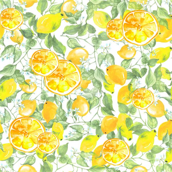 الگوی آبرنگ بدون درز پرنعمت - نخ های نقاشی دستی از لیمو آهک با برگ الگوی مد روز نقاشی مرکبات برش پرتقال لیمو شاخه با مرکبات پس زمینه هنر مرکبات