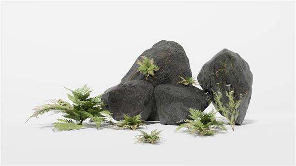 رندر سه بعدی سنگ ها و گیاهان بر اساس رنگ سفید برای وسایل یا ویرایش