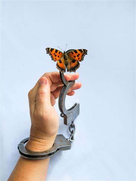 تصویری مفهومی از جدایی یا طلاق همسران یا عاشقان پس زمینه بنر با دستبندهای باز و یک پروانه در حال پرواز دست بسته است