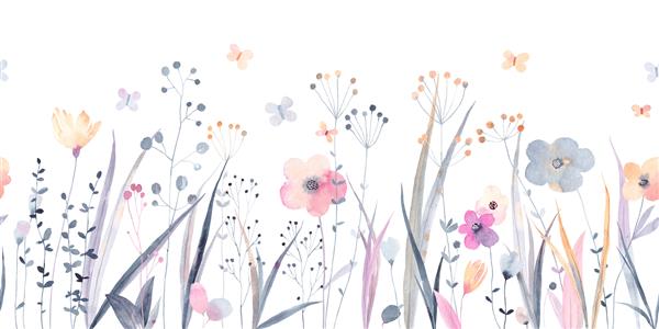 تصویر آبرنگ با گل‌های وحشی گیاهان و پروانه‌ها تصویر جدا شده افقی پانوراما چمنزار تابستانی تصویر کارت حاشیه بنر یا طرح دیگر شما