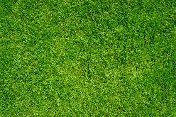پس‌زمینه بافت چمن سبز نمای بالایی از باغ چمن روشن ایده مورد استفاده برای ایجاد پس‌زمینه سبز چمن‌زار برای تمرین زمین فوتبال زمین‌های گلف چمنی الگوی چمن سبز پس‌زمینه بافت‌دار