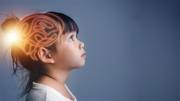 مفهوم سیستم عصبی مغز علم چیزی است که بچه ها باید مطالعه کنند و یاد بگیرند فرآیند تفکر و روانشناسی کودکان
