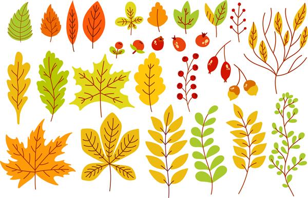 مجموعه ای از برگ ها و توت های رنگارنگ پاییزی جدا شده در پس زمینه سفید ساده کارتونی سبک تخت تصویر برداری