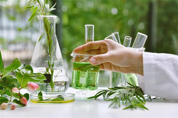 دانشمند با تحقیقات دارویی طبیعی استخراج طبیعی آلی و علمی در ظروف شیشه ای داروهای گیاهی سبز جایگزین محصولات زیبایی مراقبت از پوست طبیعی آزمایشگاه و مفهوم توسعه