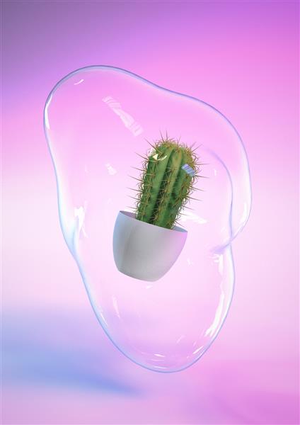 رندر سه بعدی گیاه کاکتوس با حباب صابون و پس زمینه نئون آبی و صورتی سبک معاصر رنگ های رنگین کمانی