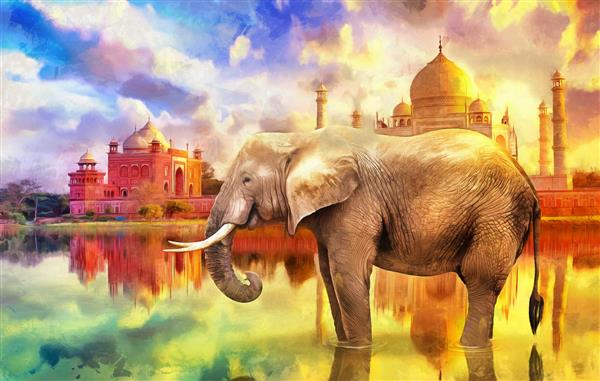 نقاشی رنگ روغن مدرن فیل با زمینه رنگارنگ غروب تاج محل مجموعه هنرمندان نقاشی حیوانات برای دکوراسیون و داخلی هنر بوم انتزاعی هند