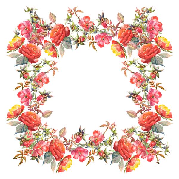 الگوی شهرت گل های رز زیبا تصویر نقاشی شده با آبرنگ