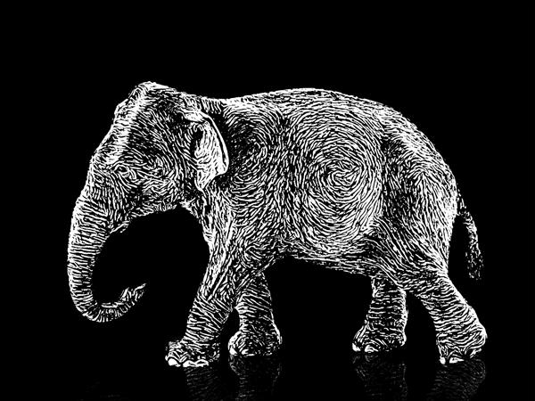 تصویر سه بعدی از تصویر فیل