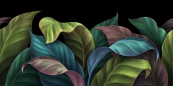 برگ های استوایی در رنگ های سبز آبی صورتی روشن حاشیه بدون درز کاغذ دیواری لوکس نقاشی دیواری ممتاز الگوی گل در زمینه تیره تصویر سه بعدی دستی طراحی شیک مدرن هنر زیبا