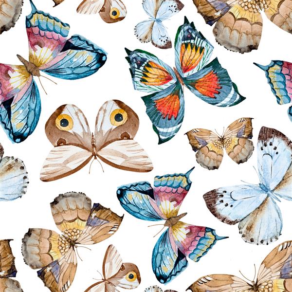 الگوی پروانه آبرنگ پروانه کاغذ دیواری بدون درز به سبک بوهو