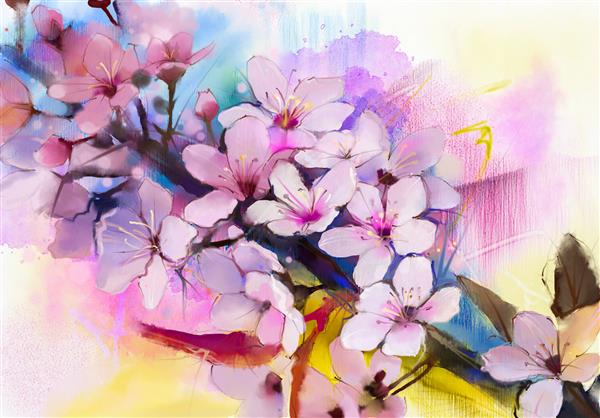 نقاشی آبرنگ شکوفه های گیلاس - گیلاس ژاپنی - گل ساکورا صورتی در رنگ ملایم روی پس زمینه تار طبیعت پس زمینه طبیعت فصلی گل بهاری