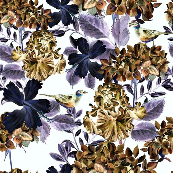 الگوی آبرنگ رنگارنگ با گل های ادریسی هیبیسکوس زنبق و پرنده تصویر