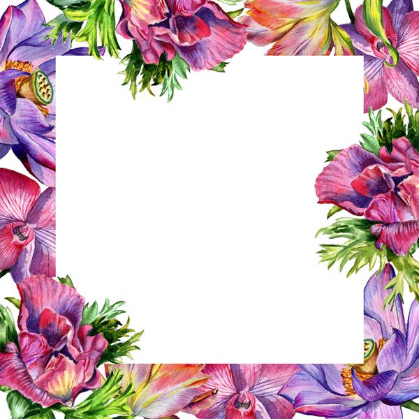 قاب گل وحشی به سبک آبرنگ جدا شده است گل وحشی آکوارل برای پس زمینه بافت الگوی لفاف قاب یا حاشیه