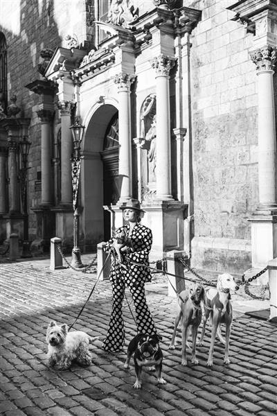 پرتره زن شیک پوش با کت و شلوار خال خالی که با سگ های مختلف ژست گرفته است