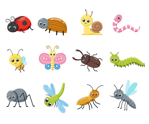 مجموعه ای از حشرات زیبا حشرات خنده دار حلزون مگس زنبور عسل کفشدوزک عنکبوت پشه تصویر برداری کارتونی