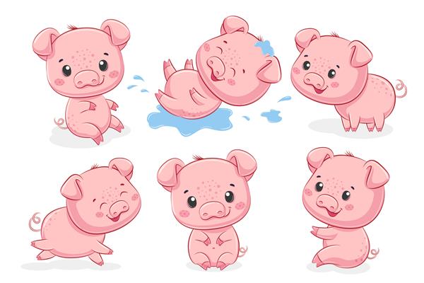 مجموعه ای از 6 خوکچه بامزه تصویر برداری از یک کارتون