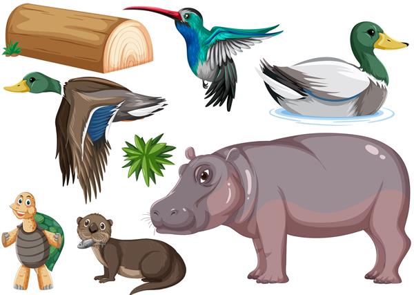 انواع مختلف مجموعه حیوانات وحشی