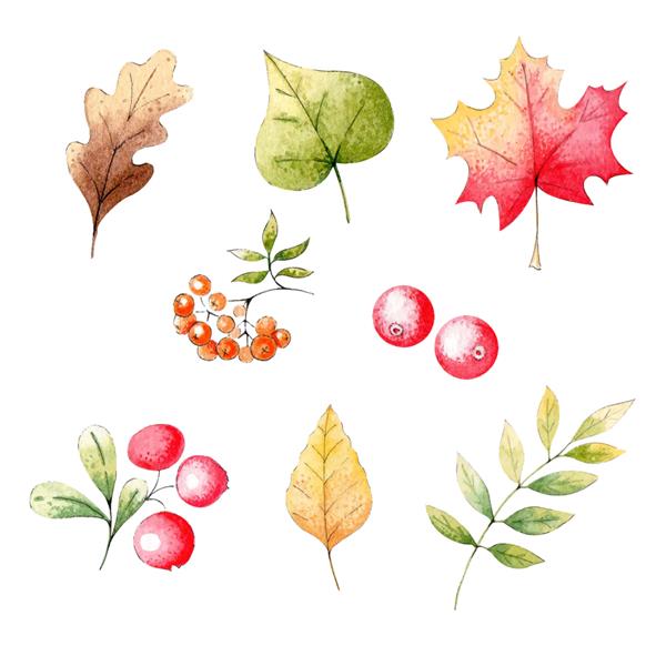 مجموعه نقاشی با آبرنگ با دست از برگ های رنگارنگ پاییزی رنگارنگx9