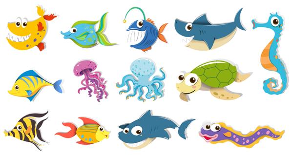 انواع مختلف حیوانات دریایی
