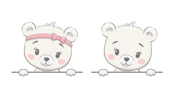 بچه خرس ناز با قاب خالی قالب بروشور تبلیغاتی با خرس پسر یا خرس دختر