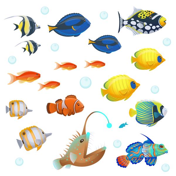 ست ماهی گرمسیری تصویر برداری به سبک کارتونی