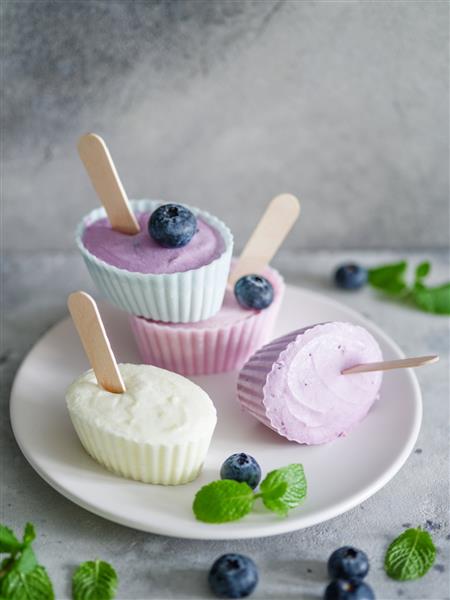 بستنی خانگی با انواع توت های تازه و ماست یخ زده بستنی از ماست یخ زده و بلوبری