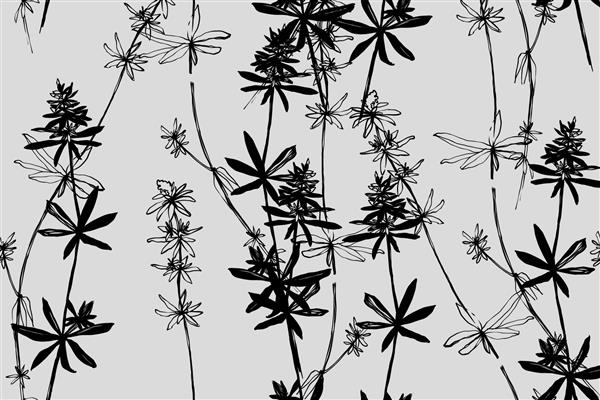 الگوی سیلوئت سیاه گیاه شناسی روشن گیاه گل نجیب طبیعت قدیمی بدون درز در پس زمینه خاکستری رنگی چاپ طرح طراحی جوهر برای پارچه طراحی شیک با خط گل