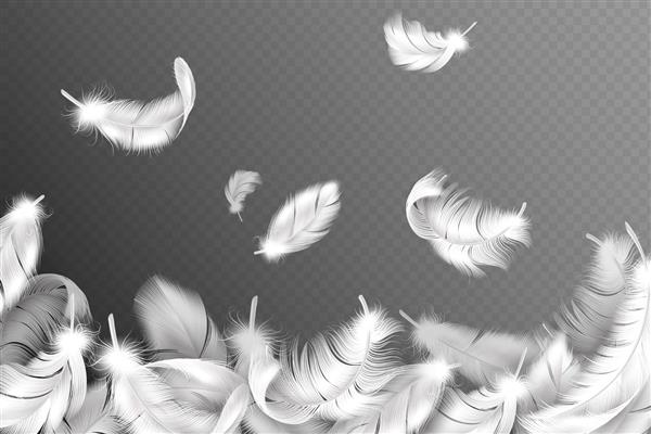 پس زمینه پرهای سفید در حال سقوط پر بال‌های کبوتر یا فرشته پرهای نرم پرنده بروشور سبک با مفهوم بردار شبح شی پایین