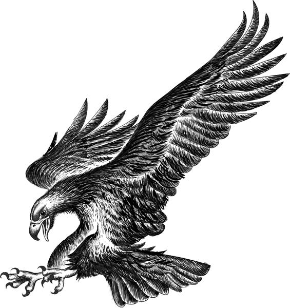 عقاب لوگوی وکتور برای طراحی خالکوبی یا تی شرت یا لباس بیشتر پس زمینه عقاب به سبک شکار این نقاشی برای پارچه یا بوم است