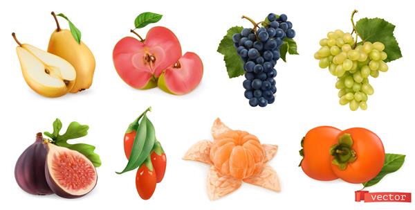 میوه ها و انواع توت های پاییزی گلابی سیب صورتی انگور شیرین سفید و انگور شرابی انجیر گوجی بری میوه خرمالو مجموعه وکتور سه بعدی واقع گرایانه