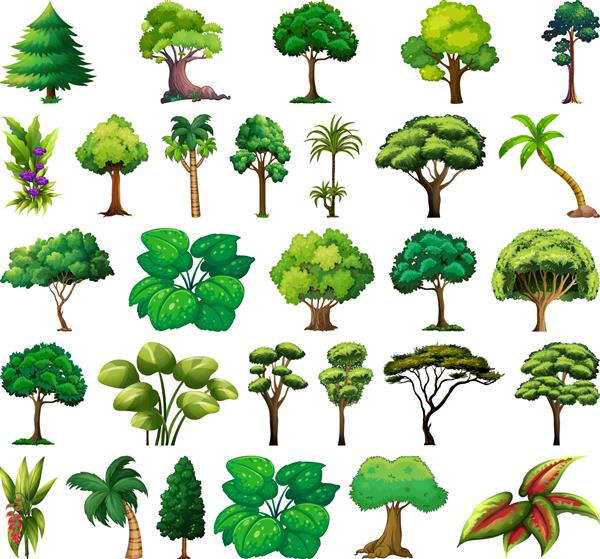 مجموعه ای از انواع گیاهان و درختان تصویر