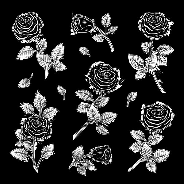 وکتور مجموعه گل رز سیاه و سفید وینتیج