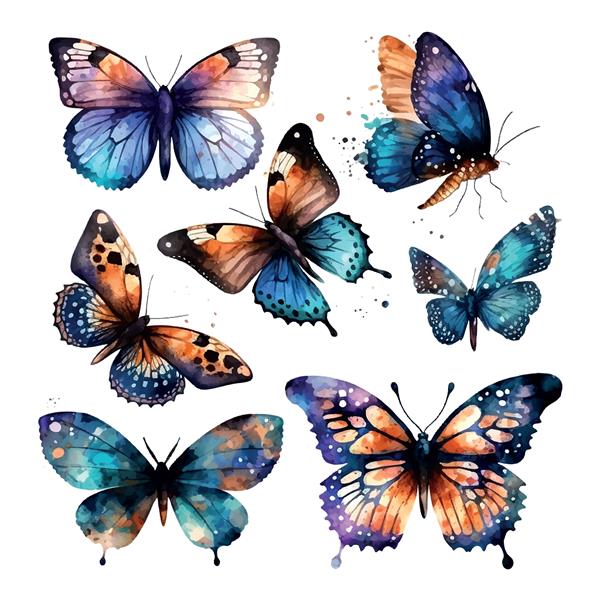 مجموعه آبرنگ پروانه های پرواز ست آبرنگ