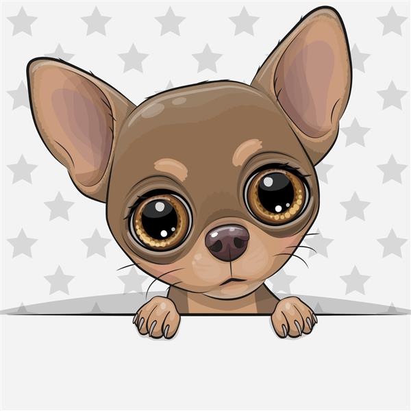 کارتونی زیبای سگ چیهواهوا در پس زمینه ستاره
