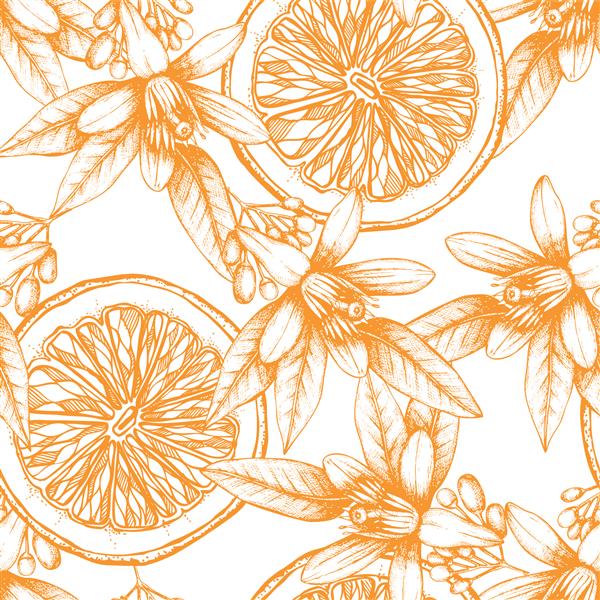 وکتور الگوی بدون درز با طرح میوه نارنجی گل و برگ با جوهر کشیده شده است پس زمینه مرکبات قدیمی جدا شده روی سفید